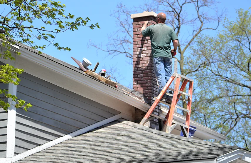 Chimney & Fireplace Inspections Services in Shoreline, WA